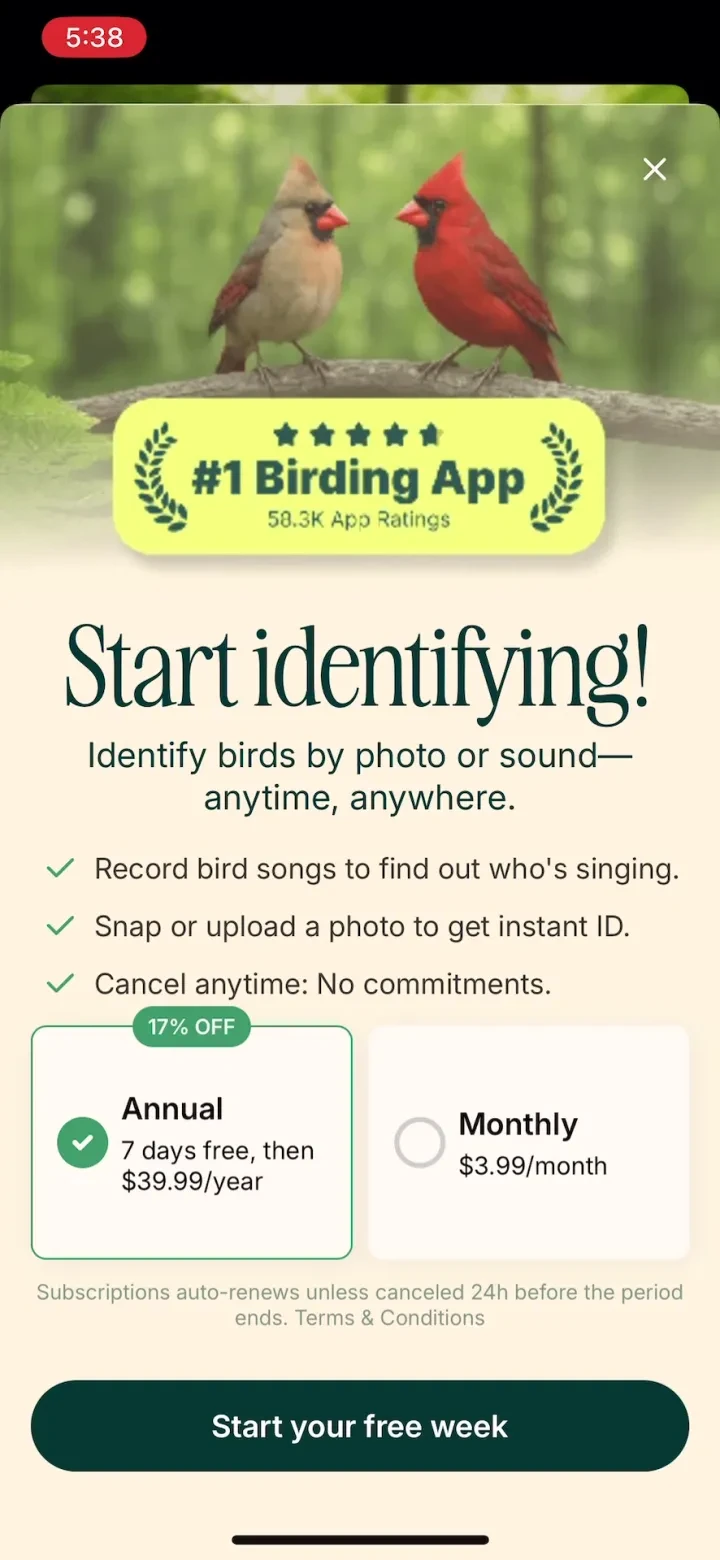 Birdbuddy: ID & Collect Birds paywall screenshot