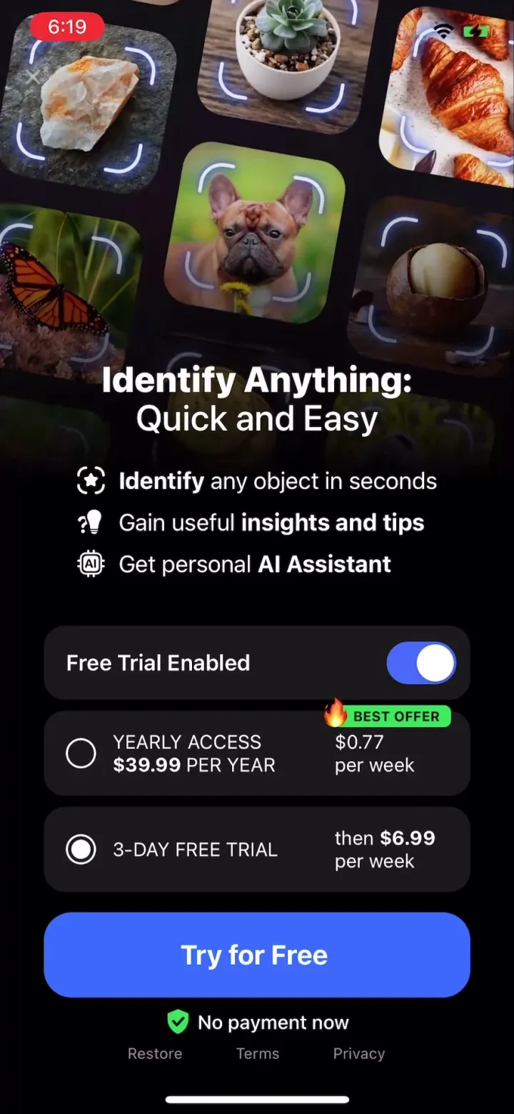 Lens AI & Identifier・EveryScan paywall screenshot